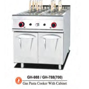 GAS PASTA COOKER WITH CABINET2